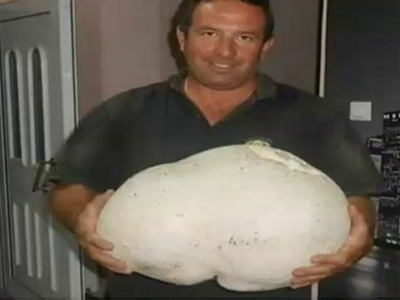 Μανιτάρι 11 κιλών βρέθηκε στα Γρεβενά!