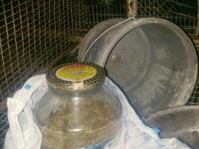 Ηλεία: 26χρονος έκρυβε τα ναρκωτικά σε κ...