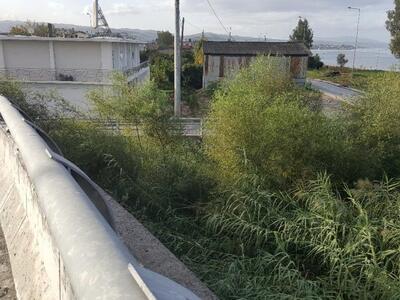 Στα όρια του ποταμού και στις εκβολές το...