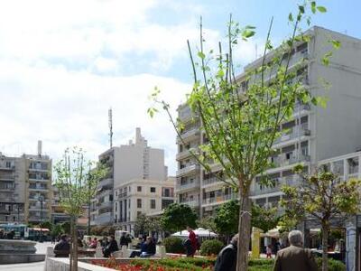 Πάτρα: Αντικαταστάθηκαν 25 από τα 78 δέν...