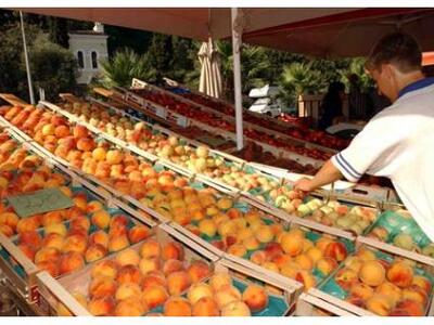 Προβληματισμός στην Αθήνα για το ρωσικό εμπάργκο