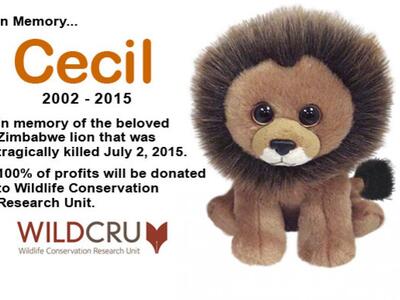 O Cecil γίνεται λούτρινο και περνά στην αιωνιότητα