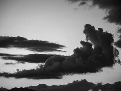 Το άτι της θαλάσσης