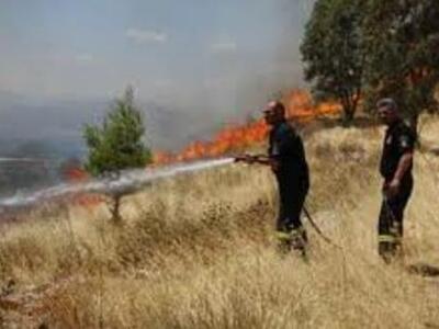 Πάτρα: Κόψτε τα ξερά σας χόρτα γιατί αλλ...