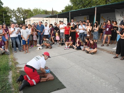 Δήμος Πατρέων: "Μεγάλη ανταπόκριση ...