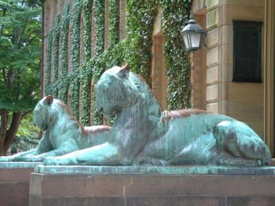 9. Πανεπιστήμιο Princeton