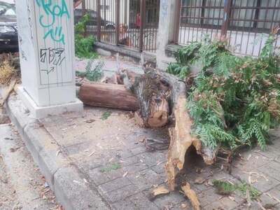 Κοζάνη: «Τρελή πορεία» αυτοκινήτου έξω α...