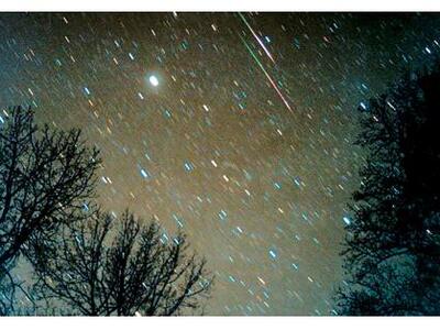 Λυρίδες: Δείτε τις να πέφτουν βροχή και ...