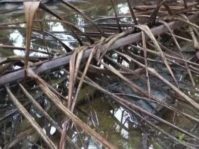 Πάτρα: Είδαν, αποείδαν και σταμάτησαν να...