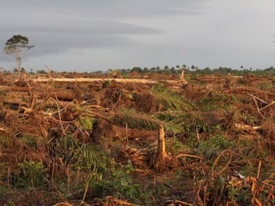  Σιέρα Λεόνε: Η περιβαλλοντική νομοθεσία...