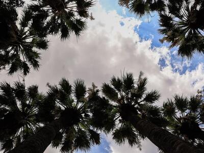 Αίθριος ο καιρός με λίγες νεφώσεις σήμερα στη χώρα