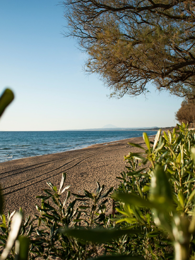 Κουρούτα/Photo: Shutterstock
