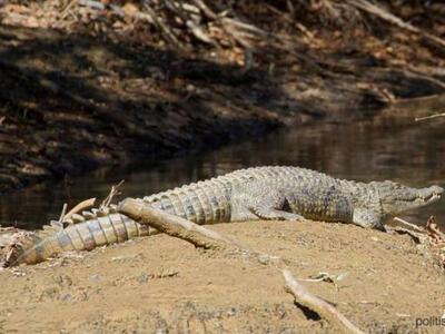 Συνεχίζεται η επιχείρηση για τη σύλληψη του “Σήφη”