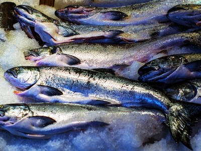 Έαν έχετε αγοράσει αυτά τα κατεψυγμένα ψ...