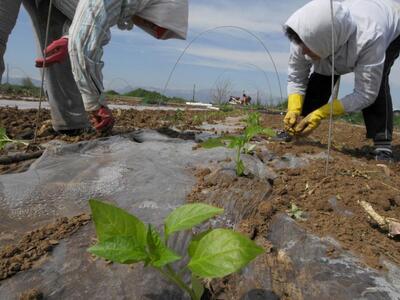 Αναπτυξιακή Σύμπραξη:  Τα τοπικά προϊόντ...