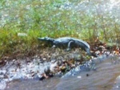 Αύριο το μεσημέρι παγιδεύουν τον… Σήφη τ...