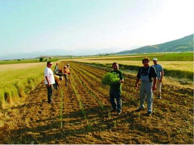 Νίκος Τσούκαλης: Να  ξεκαθαριστεί η «κόπ...