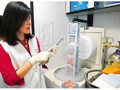 Nέο είδος βλαστοκυττάρων δημιουργεί ζώα ...