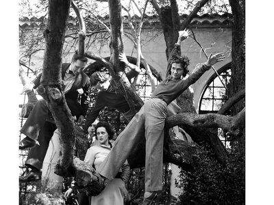 Η Coco και οι φίλοι της πάνω στην ελιά του κήπου