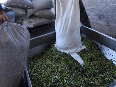 Αχαΐα: Στη Βουλή έφθασε η μόλυνση των πο...