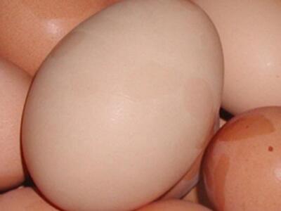 Κάνει τελικά να τρώτε αβγά εάν έχετε χοληστερίνη; 