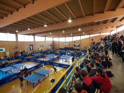 Πανελλήνιο πρωτάθλημα πινγκ πονγκ: Η Πάτ...