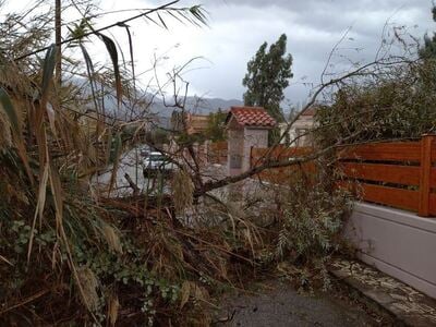 Πάτρα: Έπεσαν δέντρα σε Άνω Καστρίτσι και Ακταίο