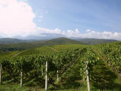 Δυτική Ελλάδα: Ξεκινά η πληρωμή οικονομι...