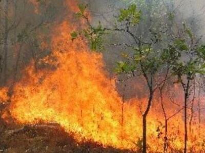 Πύρινα μέτωπα σε  Κορινθία, Ασπρόπυργο κ...