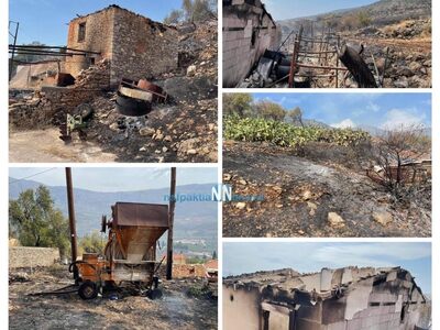 Φωτιά Φωκίδα: Μεγάλες ζημιές – 7 σπίτια ...