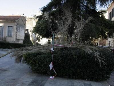 Τον καθαρισμό του ξεραμένου φοίνικα ζήτη...