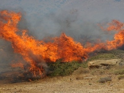 Υπό μερικό έλεγχο η πυρκαγιά στο Λαγονήσι