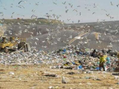 Δυτική Αχαϊα: Ημερίδα για τη διαχείριση ...