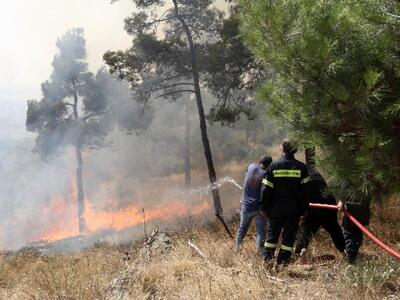 Ηλεία: Φωτιά σε εξέλιξη στο Γερακάρι Αμαλιάδας