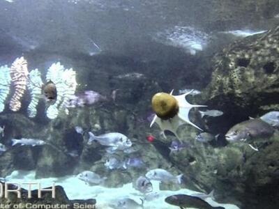 Ένα χταπόδι ρομπότ στο ενυδρείο Κρήτης! 