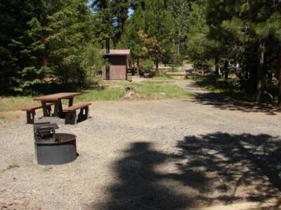 Τον πέρασε για τάρανδο και τον πυροβόλησ...