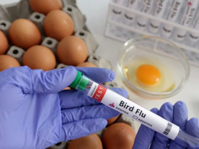 Γρίπη των πτηνών: Κρούσμα H5N1 στην Κίνα...
