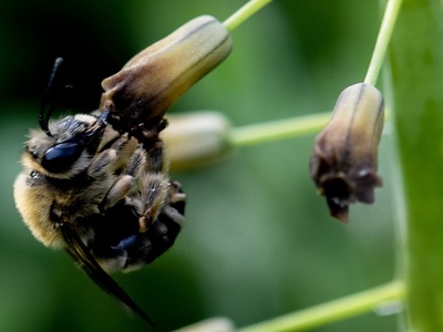Η άνοιξη πάντα έρχεται! 