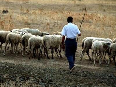 Σκοτώθηκε βοσκός, πιθανότατα από πτώση κεραυνού