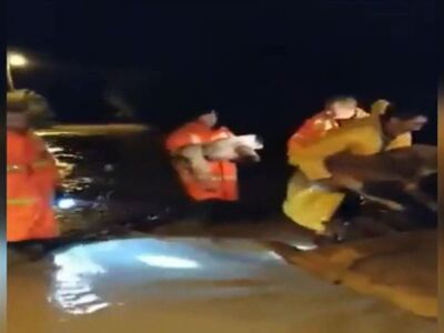 Αχαΐα - Καρέ καρέ η διάσωση ενός άνδρα κ...