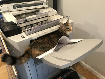 Μια μάχη μετά την άλλη