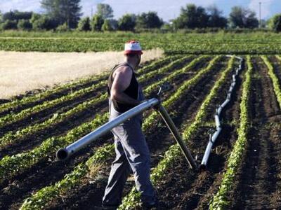 Αχαΐα: Στην τράπεζα οι αποζημιώσεις για ...