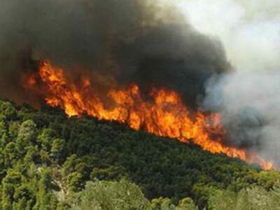 Κατά 15% λιγότερες οι φετινές πυρκαγιές ...