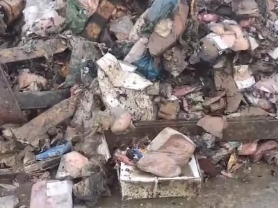 Κέρκυρα: Υγειονομική βόμβα από τα σαπισμ...