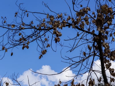 Καιρός: Θερμοκρασίες πάνω από 30 βαθμούς...