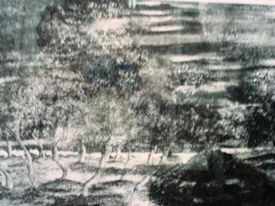 Πάτρα: Επαναλειτουργεί η Δημοτική Πινακο...