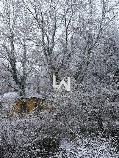 Στάγια / Φωτό lamianow.gr