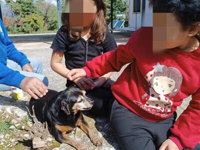 Πάτρα: Μαθητές του Δημοτικού Σχολείου Δρ...