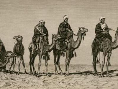 Οι καμηλιέρηδες της έρημης χώρας…