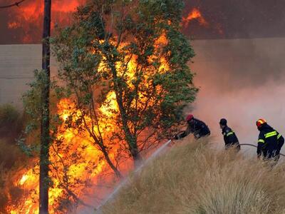 Σαράντα δύο δασικές πυρκαγιές εκδηλώθηκα...